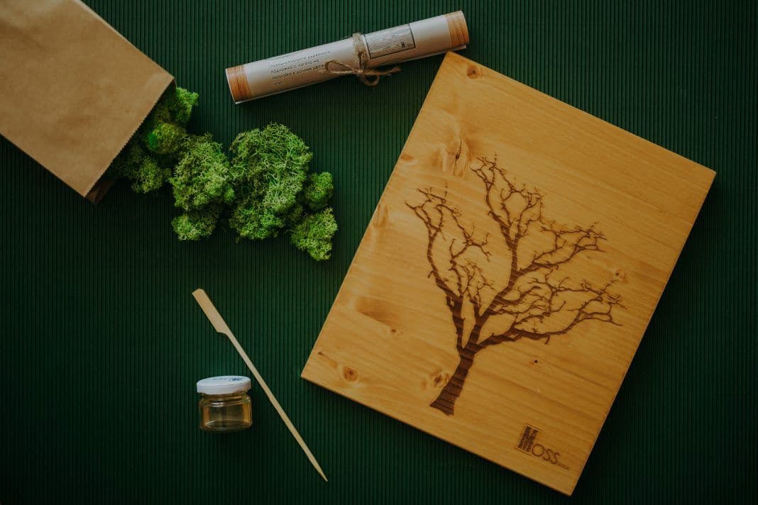 Скандинавски мъх